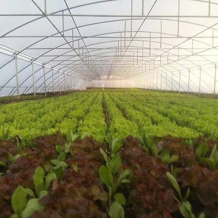 Nano And Biofood Semesteranläggning (resort) 4*