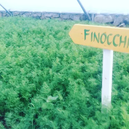 Semesteranläggning (resort) Nano And Biofood