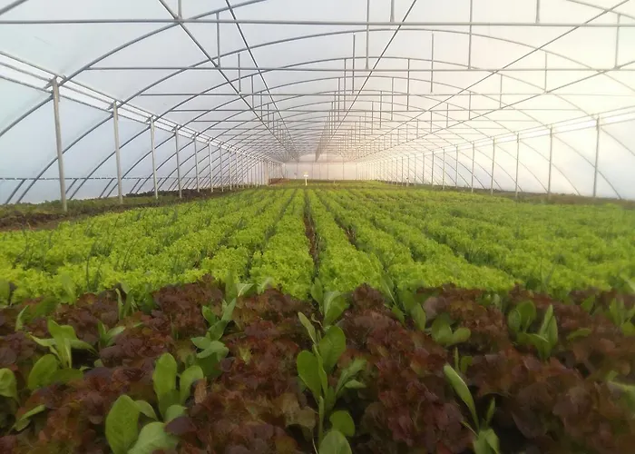 Nano And Biofood Üdülőközpont 4*
