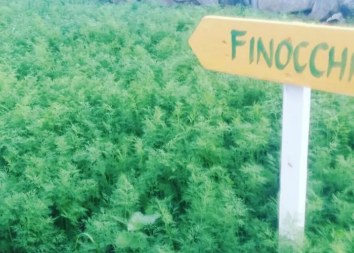 리조트 Nano And Biofood